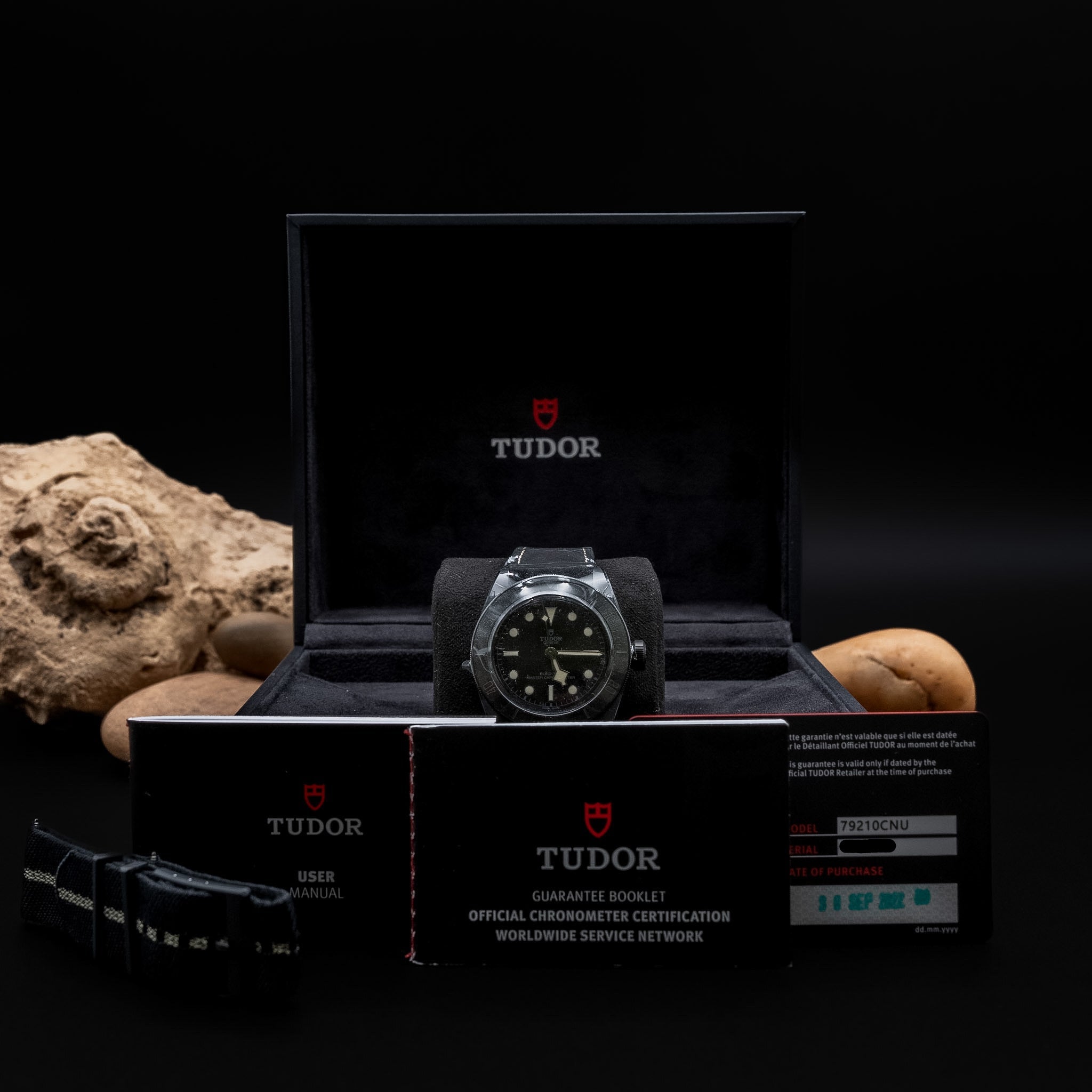 Tudor Black Bay Ceramic Master Chronometer (Ref. 79210CNU)