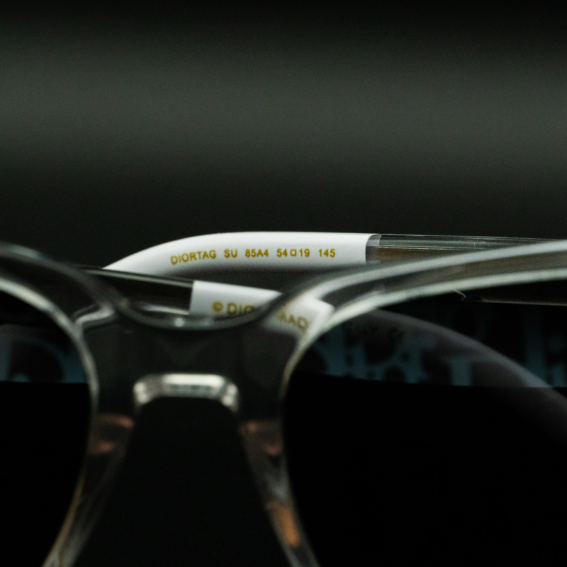 Christian Dior DiorTag SU Sunglasses – Transparent Frame with Oblique Monogram Lenses (Size 54▢19 145)