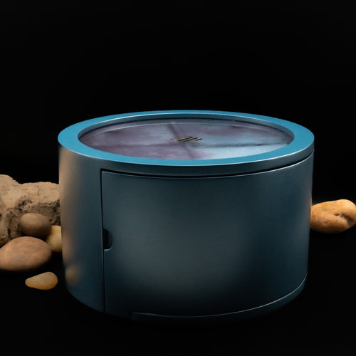 Audemars Piguet Multi-Compartment Collector’s Watch & Jewelry Storage Case