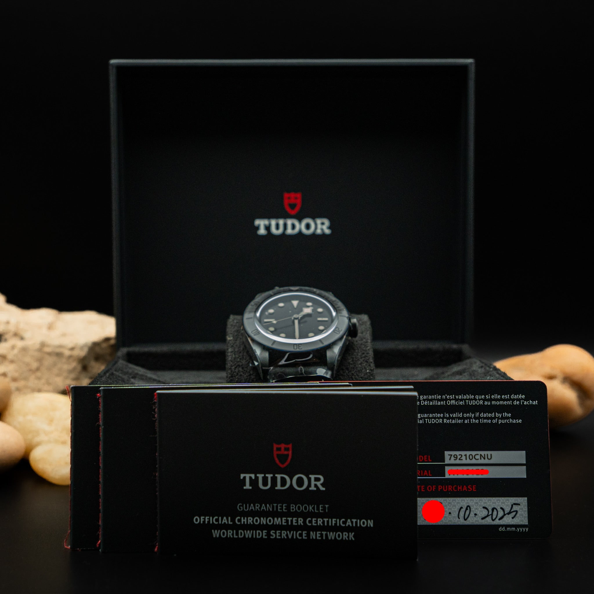 Tudor Black Bay Ceramic Master Chronometer (Ref. 79210CNU)