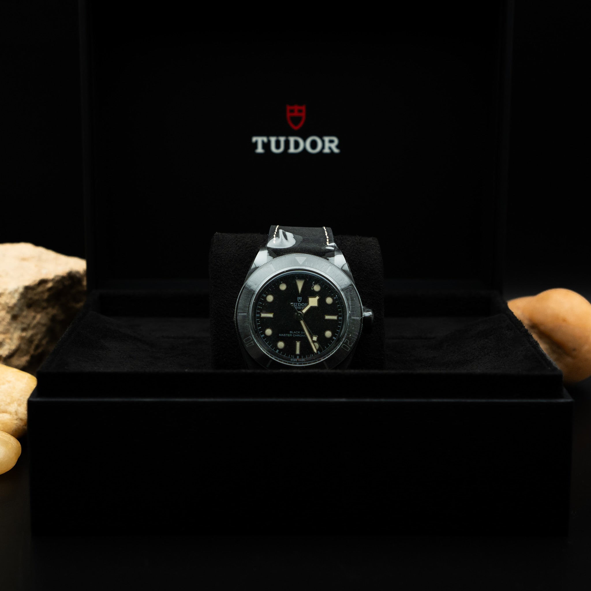 Tudor Black Bay Ceramic Master Chronometer (Ref. 79210CNU)